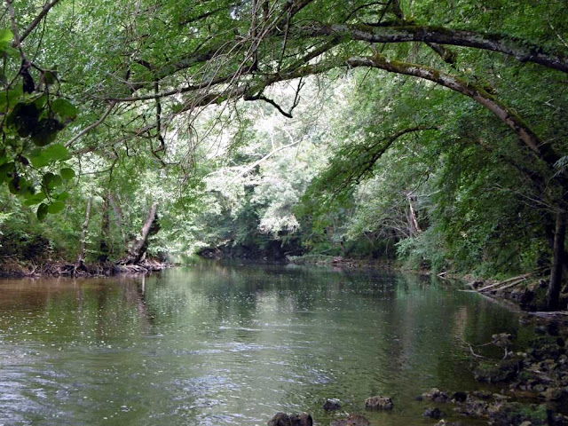 Anglin River. Vienne. France. Photo by Loire Valley Time Travel.