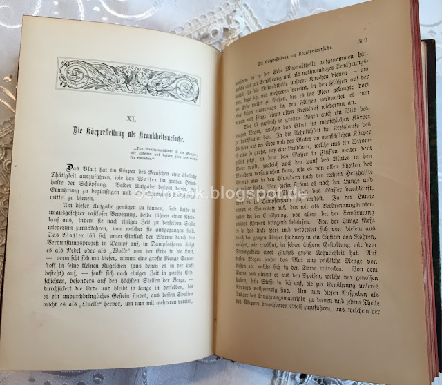 Lebensregeln. Ernstes und Heiteres aus der Gesundheitspflege. 5. Tausend, Reclam Carl, Berlin, Verein für Deutsche Literatur, 1893