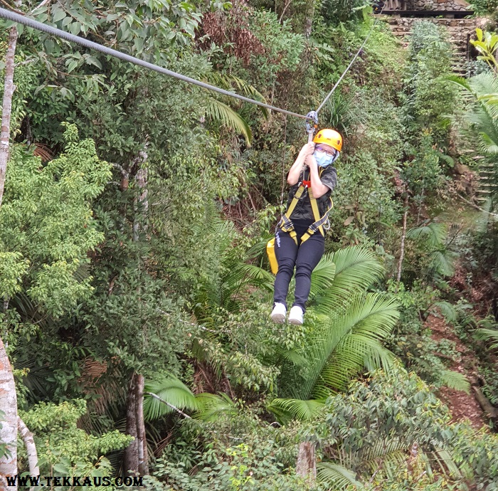 Penang Zipline Activity In The Habitat Penang Hill