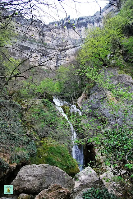 Nacedero del Urederra, Navarra