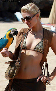 Paris Hilton in the beach