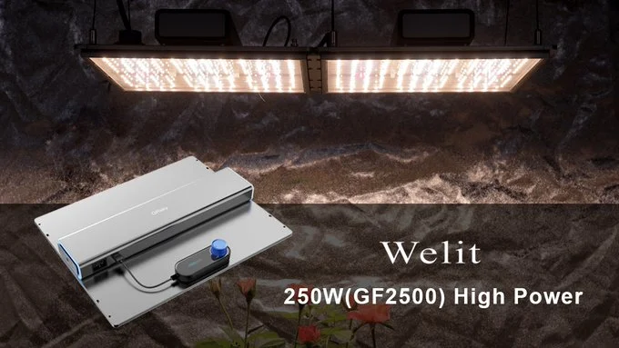 Well Lit-250W Grow LED Light with Built-in Cooling System It has 3000K & 5000K & 730nm & 660nm combination LED that gives plants of different shapes and sizes the light they need to flourish