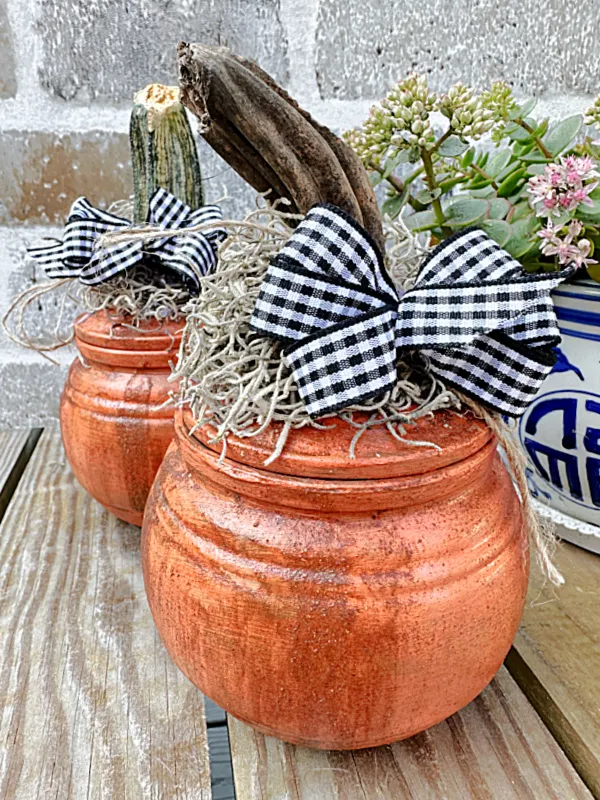 pumpkins with gingham bows