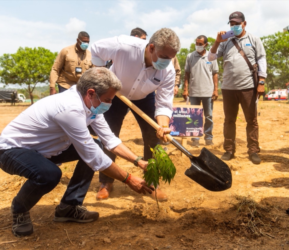 https://www.notasrosas.com/Constructora Capital sembrará 850 árboles con el respaldo de Minambiente y en coordinación con la Corporación Novaterra