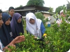 Picture 018