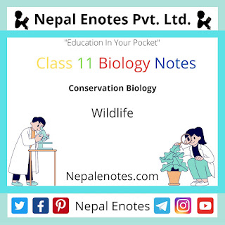 Class 11 Biology Wildlife Notes