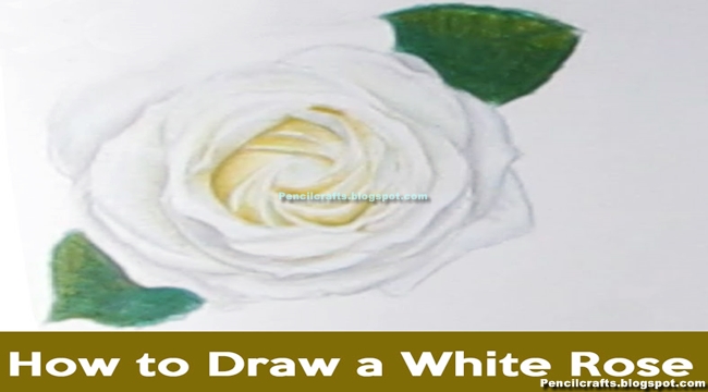 How To Draw Pencil Sketches Of Flowers