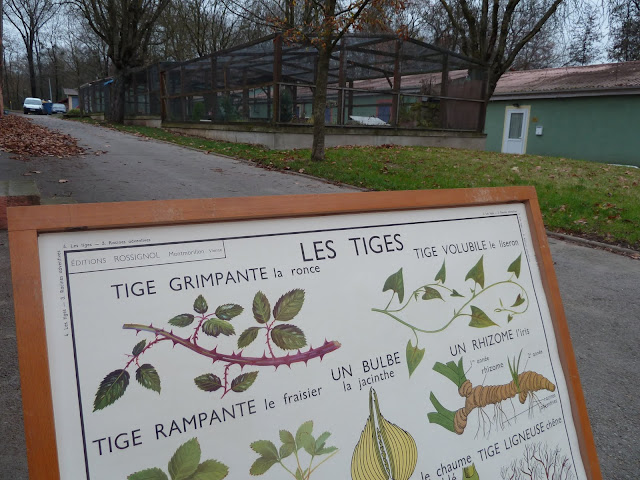 les tiges rossignol affiches scolaire