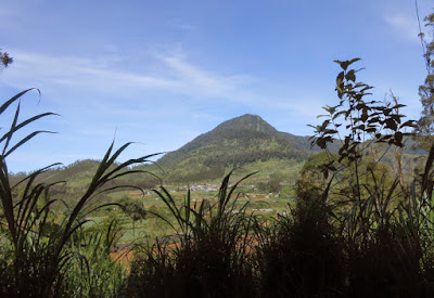 Gunung Rogojembangan