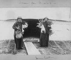 Nursing Sister WW1 Photo Album: 28R Nurses with Flowers