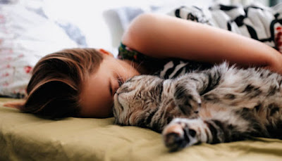 Dormir con su gato: ¿una buena idea?