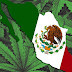 Cannabis legal en México, cada vez más cerca