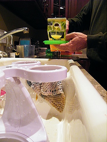 2010_1227dippindotz0011