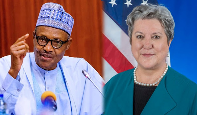 Important positions given to particular ethnic groups under Buhari: U.S.