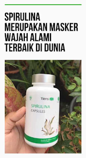Jual Masker Herbal Spirulina Harga Murah di Payung Sekaki Pekanbaru