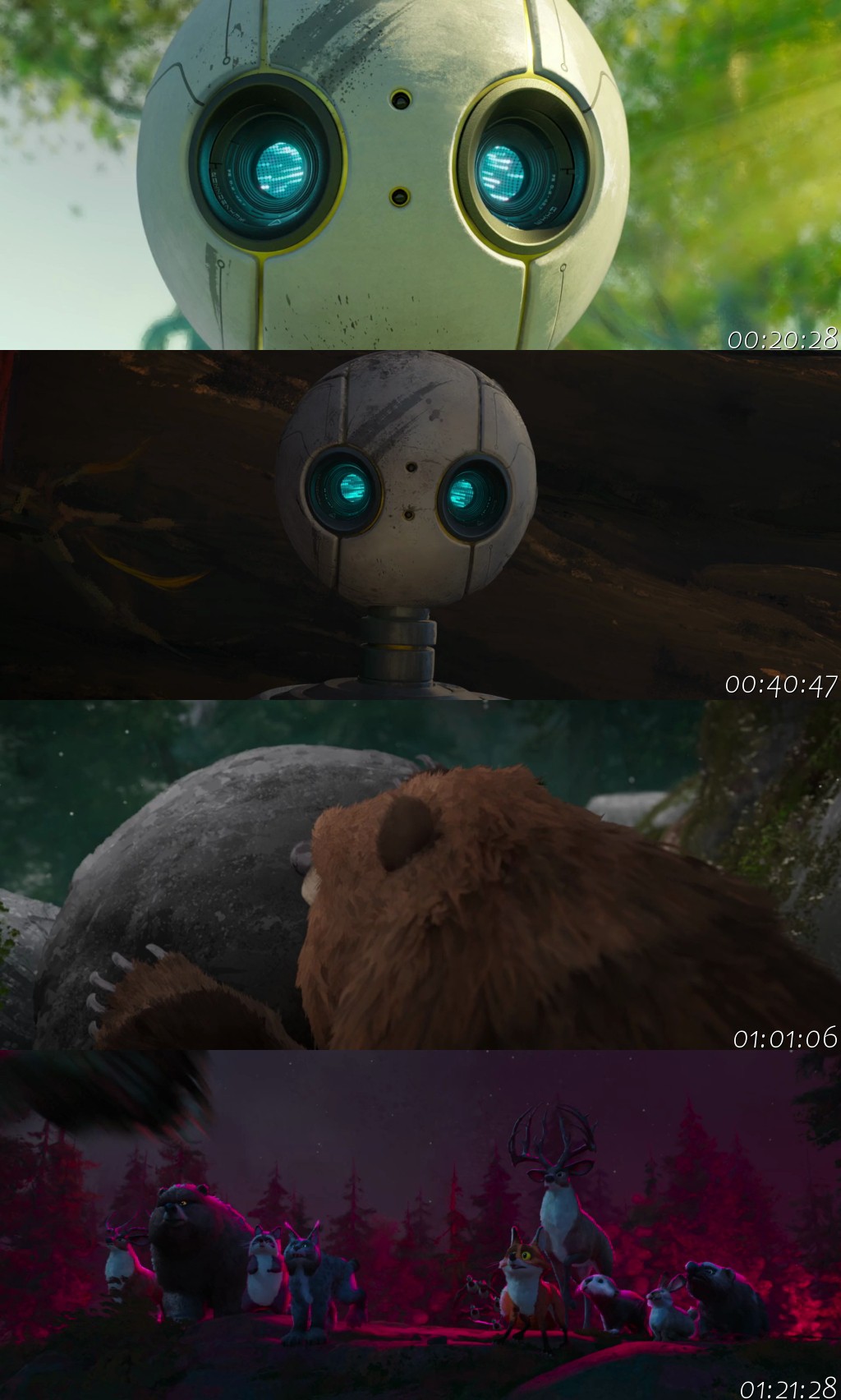 The Wild Robot
