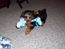 Lizzie poo