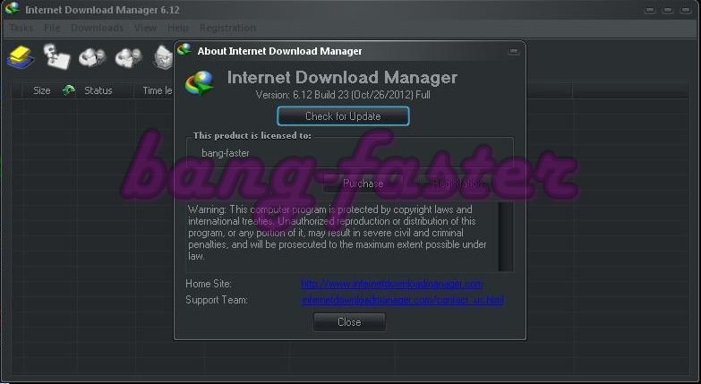 Internet Download Manager 6.12 Final Build 23 Full Patch 