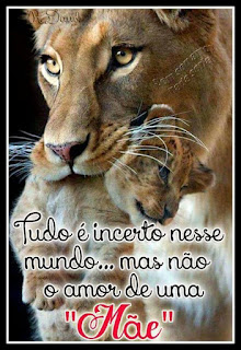 Foto em close da cara de uma leoa de pelagem densa, em tons amarronzados, olhos redondos da cor de mel, destacados pelo contorno preto e realçados pelo tom dourado na parte inferior, focinho achatado e largo, rosado na ponta com alguns pigmentos pretos, bigodes brancos e longos. O filhote está suspenso pela boca da mãe que o abocanha pela parte posterior do pescoço. Sobreposto à foto em letras pretas e vermelhas lê-se: Tudo é incerto nesse mundo...mas não o amor de uma “Mãe”.