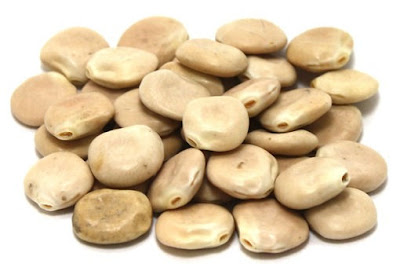 Lupini Beans Health Benefits