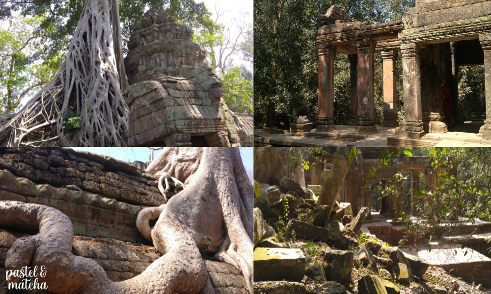 Temple Ta Prohm