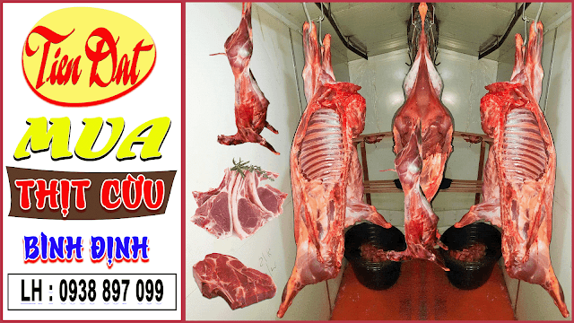 Mua thịt cừu tươi tại Bình Định uy tín đảm bảo giá tốt