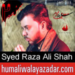 https://humaliwalaazadar.blogspot.com/2019/08/syed-raza-ali-shah-bukhari-nohay-2020.html