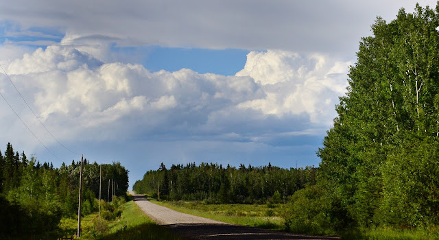 thunderstorms, Alberta, summer, boreal forest