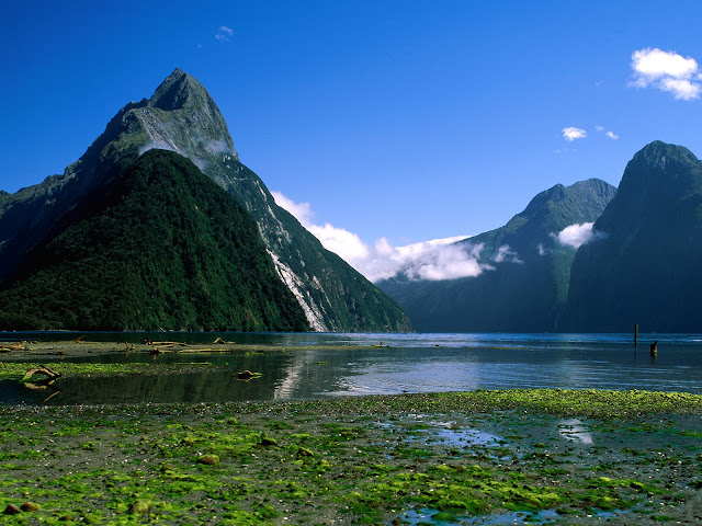 Naturaleza y Paisajes de Nueva Zelanda