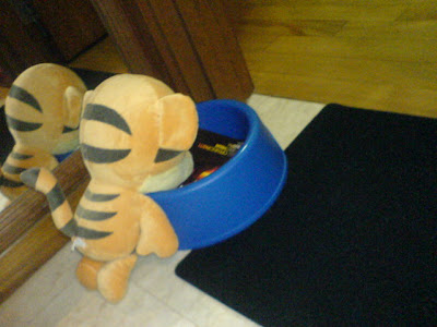 lol bought a dog food bowl for tigger