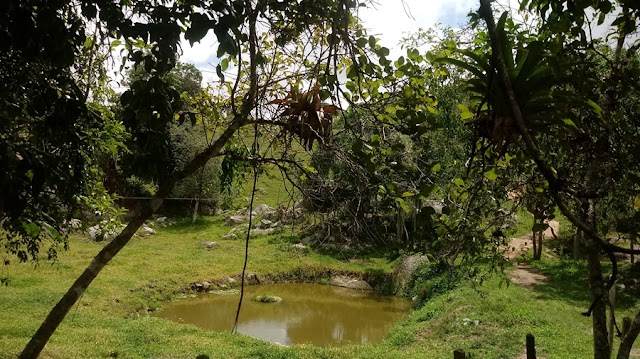 O CAMINHO QUE NOS LEVA AO SECADOR DE CAFÉ E A CAVERNA DO DEDA EM SERRA NEGRA/PE