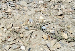 IMG_8934