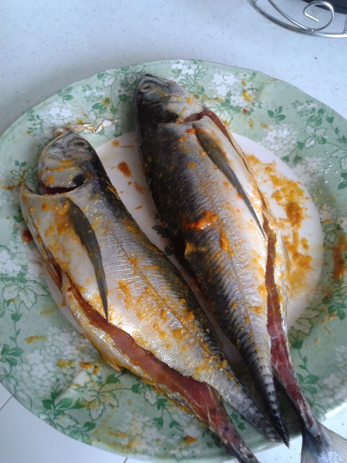 Skrinepal  Bicara dari Skrin : Resepi Hari ini : Ikan 