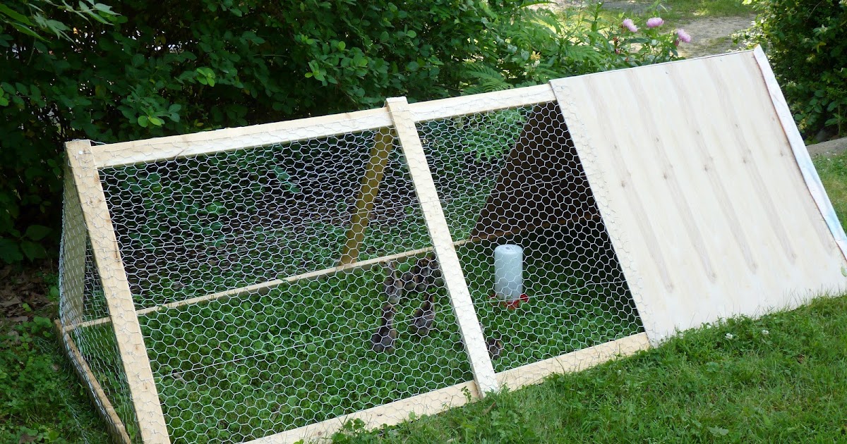 Hobby Chicken: A frame chicken coop tractor plans