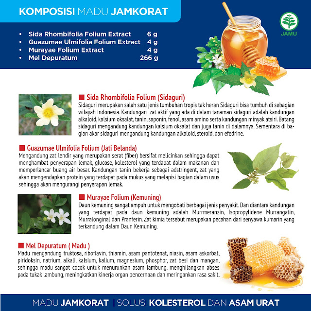 Herbal Asam Urat Paling Ampuh