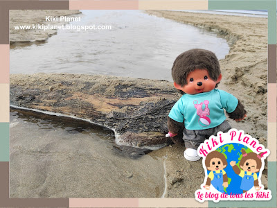 kiki Monchhichi plage honfleur beach normandy