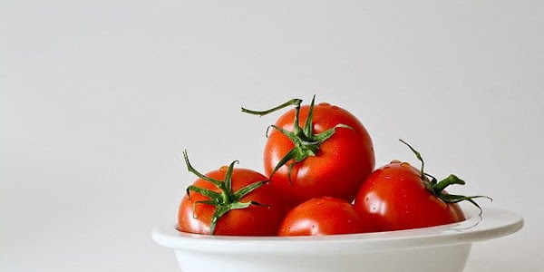 Amazing Health Benefits of Tomatoes - Health-Teachers
