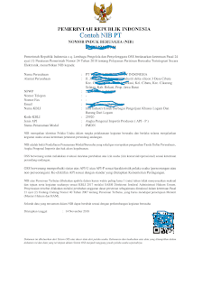 Contoh NIB PT-NIB CV-NIB Perseorangan I Nomor Induk Berusaha (NIB) Untuk Impor Barang