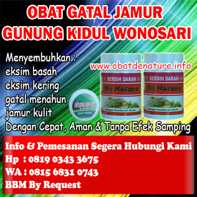 OBAT GATAL JAMUR GUNUNG KIDUL WONOSARI