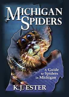 Michigan Spiders Printed Book at Amazon