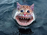 Shark_Cats_mutant_wallpapers