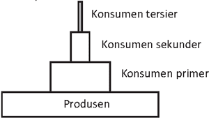 contoh soal skb guru biologi cpns