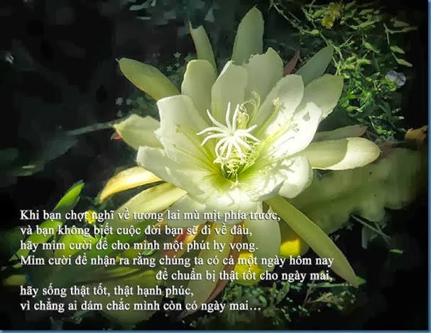 clip_image006