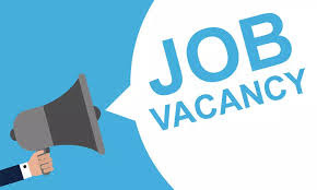Exploring Exclusive Packing Jobs in Dubai / Jobs in Dubai 2024