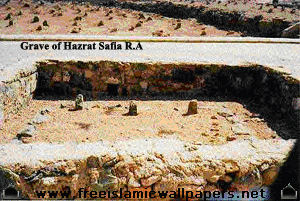 Pakmasti: Grave-of-Hazrat-Safia-RA
