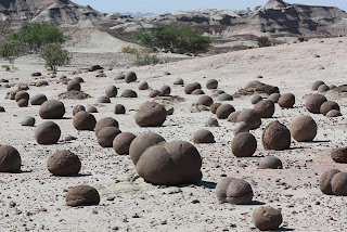 Algunos decían que eran cacas de dinosaurio, otros huevos de gramdes mamíferos (entienda quien entienda)