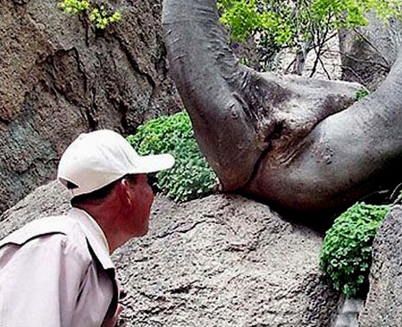 nature-is-sexy (3)