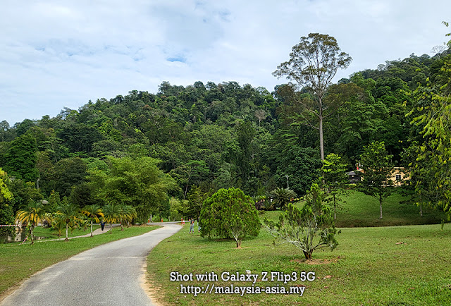 FRIM Kepong Botanical Gardens