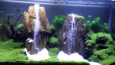 Aquascape Air Terjun