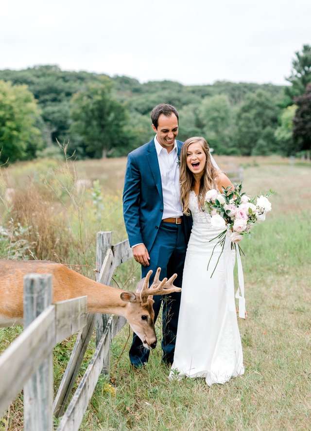 Wild Deer Crashed Wedding Photoshoot To Eat The Bride’s Bouquet